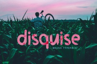 Disquise: The Handwritten Display Font for Your Brand