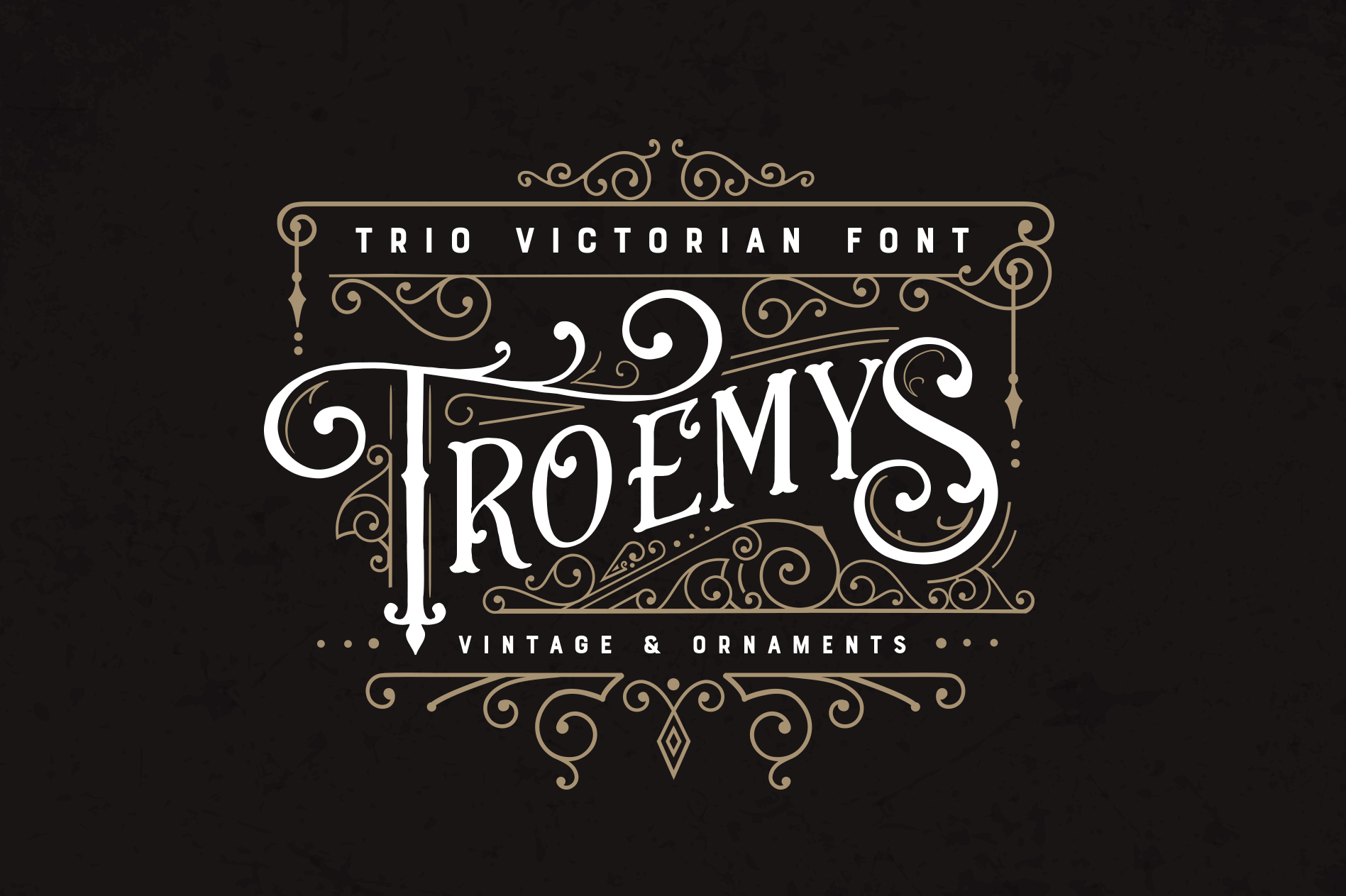 Troemys Font Trio: A Vintage Typeface for Your Brand